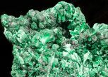 Silky Fibrous Malachite Crystal Cluster - Congo #45325-2